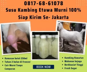 06-Susu20250115-082550-jualsusukambingetawa19.webp