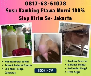 Susu20260706-065152-jualsusukambingetawa4.webp