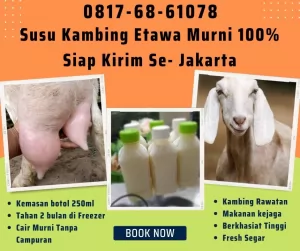 Susu20260706-070526-jualsusukambingetawa20.webp