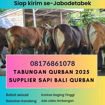 Tabungan20250129-065452-jualsapimurah6.webp