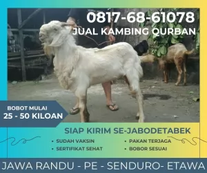 jual20260501-085930-2.webp