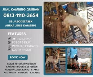 jual20260505-112223-2.webp