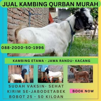 jual20260505-114258-1.webp
